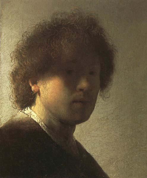 Rembrandt van rijn Self-Portrait as a Young Man